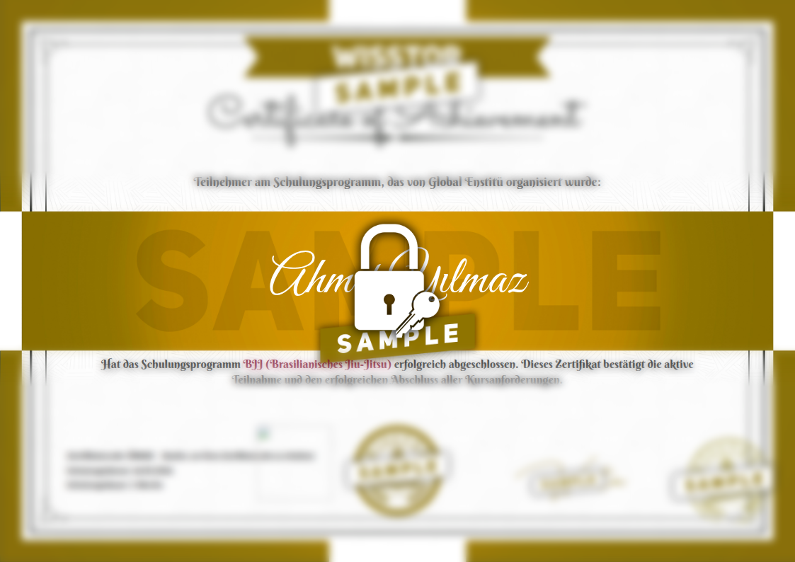 Beispiel BJJ (Brasilianisches Jiu-Jitsu)-Zertifikat